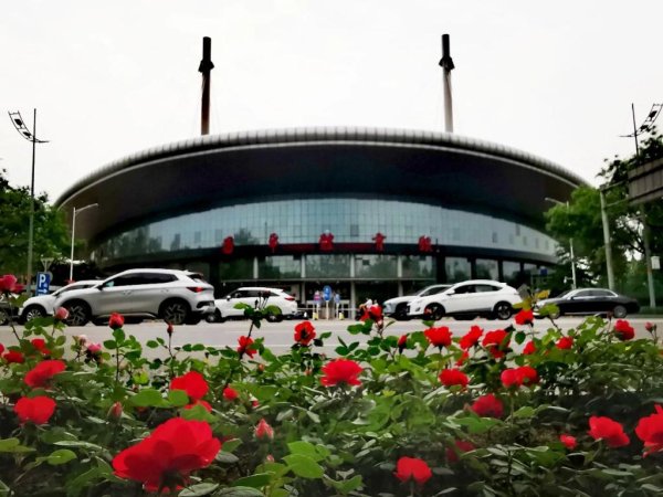 京海配资 这种花，把昌平的夏天开成了诗