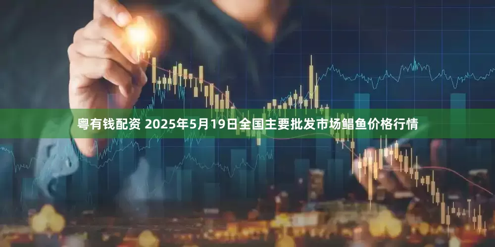 粤有钱配资 2025年5月19日全国主要批发市场鲳鱼价格行情