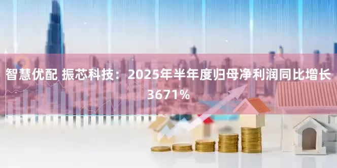 智慧优配 振芯科技:2025年半年度归母净利润同比增长3671%
